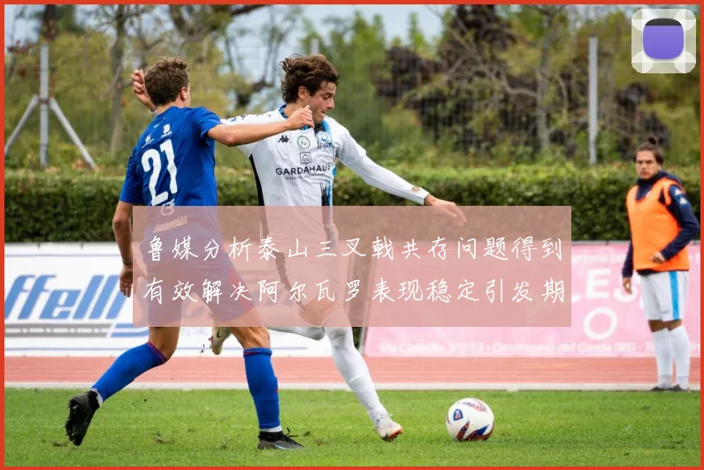 鲁媒分析泰山三叉戟共存问题得到有效解决阿尔瓦罗表现稳定引发期待