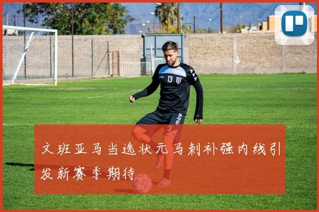 文班亚马当选状元马刺补强内线引发新赛季期待